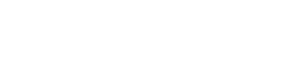 Transformik AI